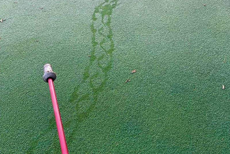 Area of dry brown turf behind a tree Area of dry brown turf behind a tree