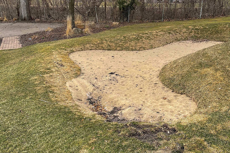 A patch of sprayed turf with a leaf shape on it Small patch of yellow discolored turf within a dark green putting green