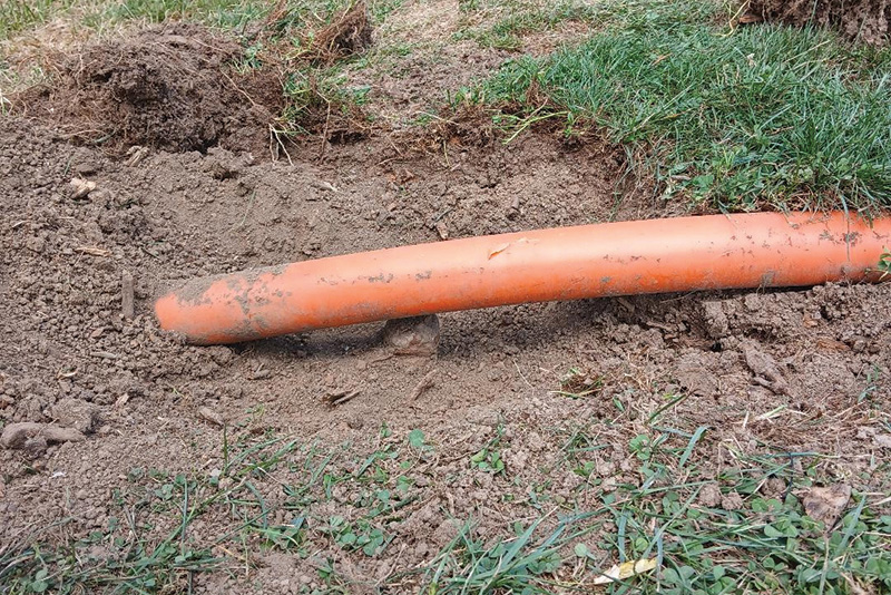 Small patch of yellow discolored turf within a dark green putting green