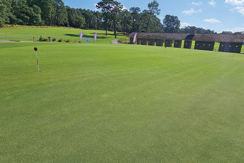 A patch of sprayed turf with a leaf shape on it Small patch of yellow discolored turf within a dark green putting green