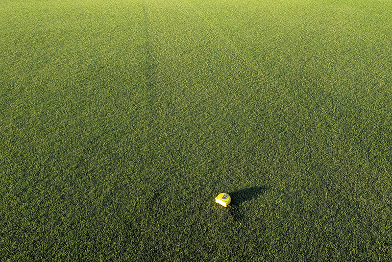 A patch of sprayed turf with a leaf shape on it Small patch of yellow discolored turf within a dark green putting green