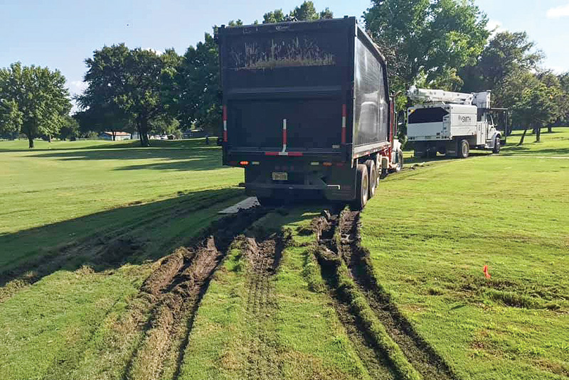 Area of dry brown turf behind a tree