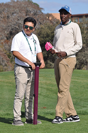 CCIV fertilizer granules