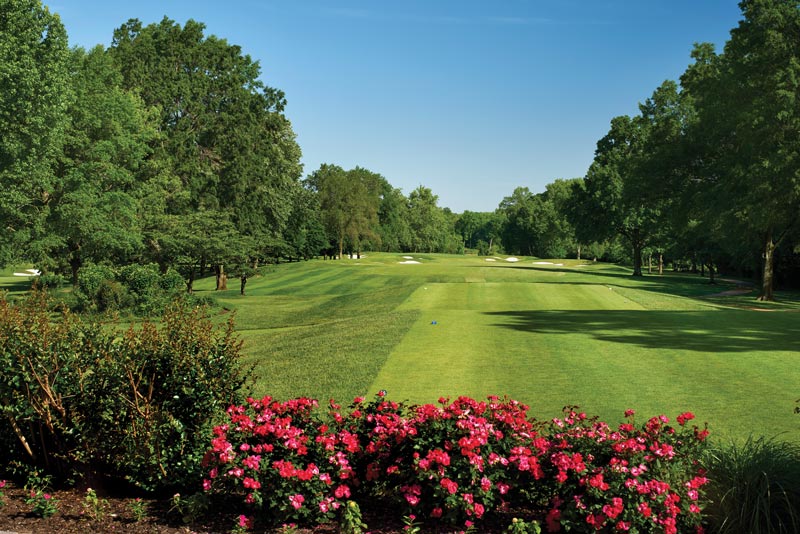 Through the Green: The grass at the PGA Championship Bellerive Country Club