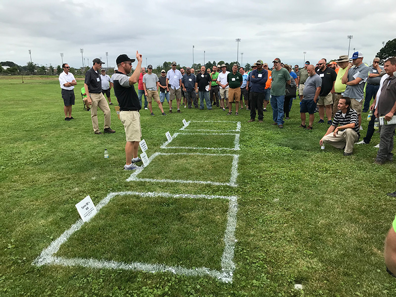 Field day