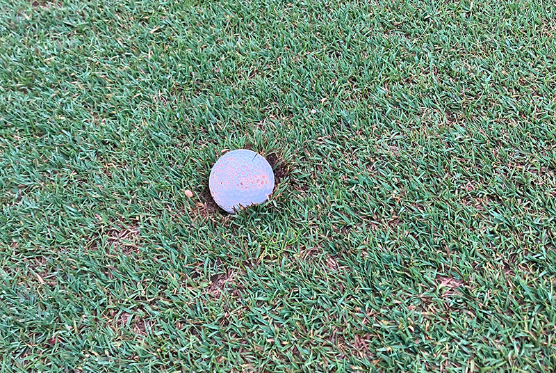 golf ball on a course